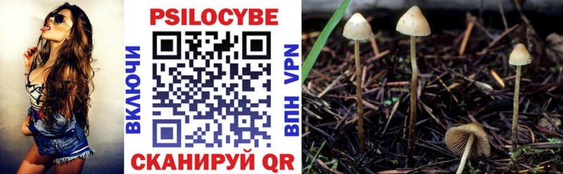 Псилоцибиновые грибы мухоморы  блэк спрут как зайти  Тавда 