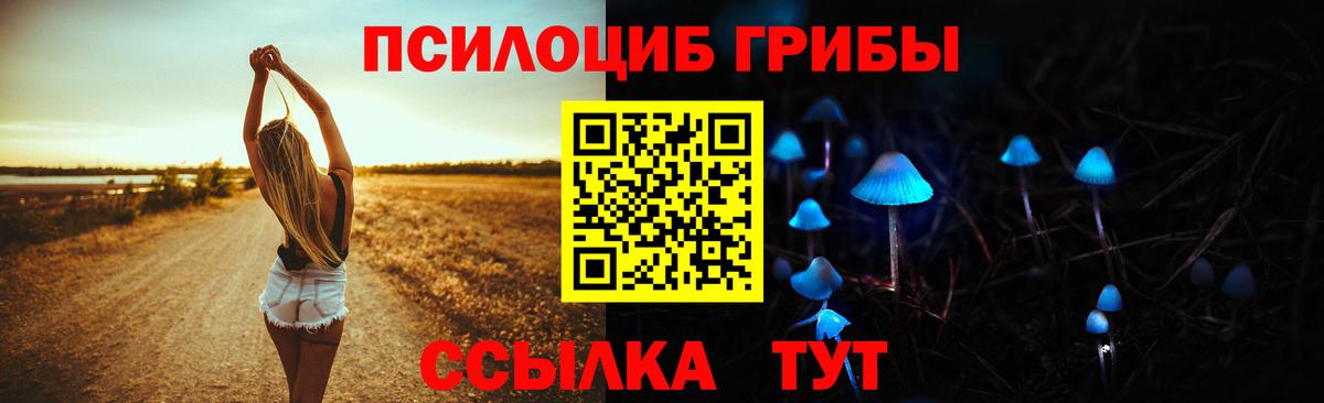Псилоцибиновые грибы Psilocybe  Вход с VPN  Тавда 