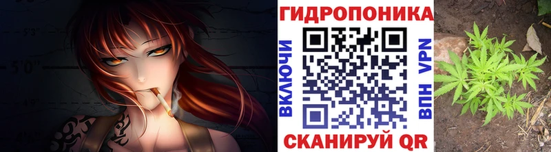 kraken онион  Тавда  Каннабис AK-47 